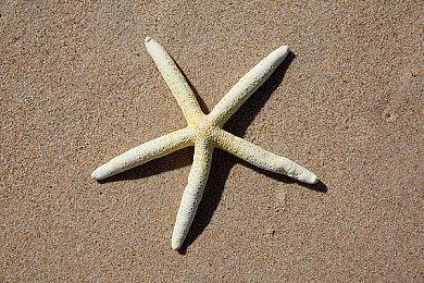 终于迎来正式版的《部落与弯刀》，发生了什么变化？